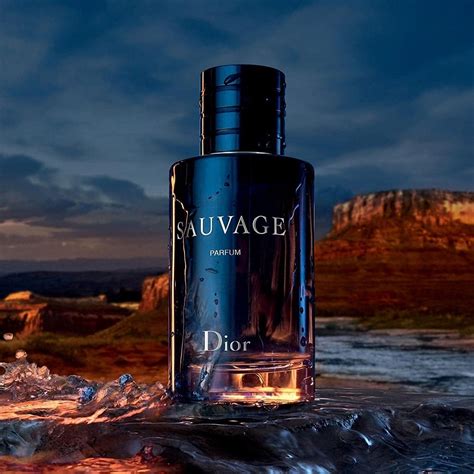 dior sauvage for men price|dior sauvage expensive.